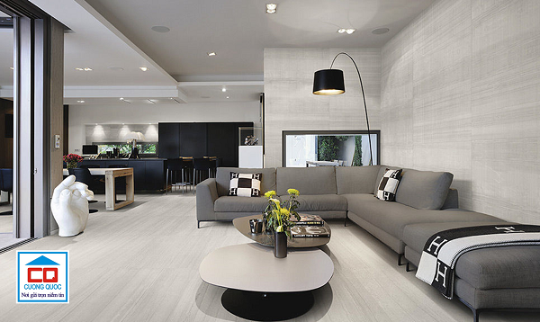 gạch ốp tường Viglacera_2