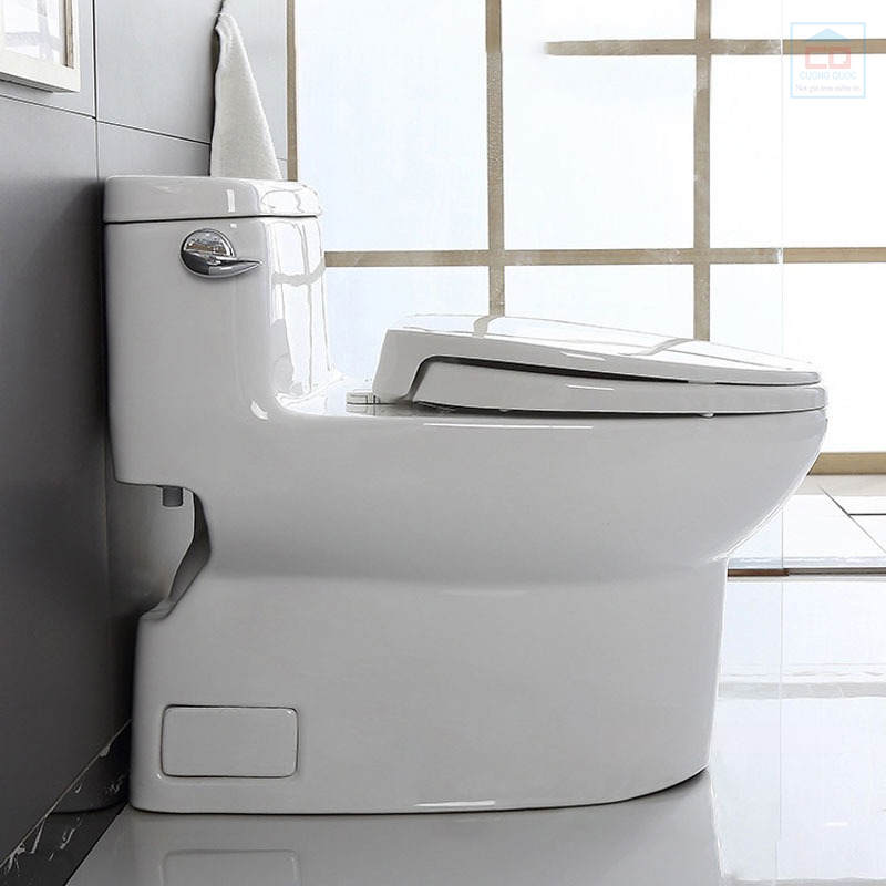 Bồn cầu TOTO