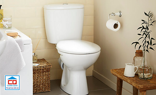 bồn cầu Viglacera1