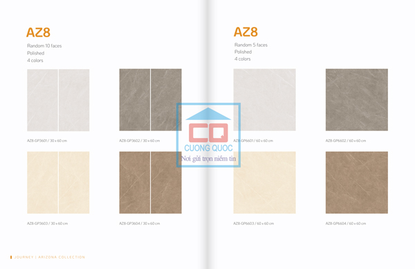 Gạch ốp lát Arizona AZ8