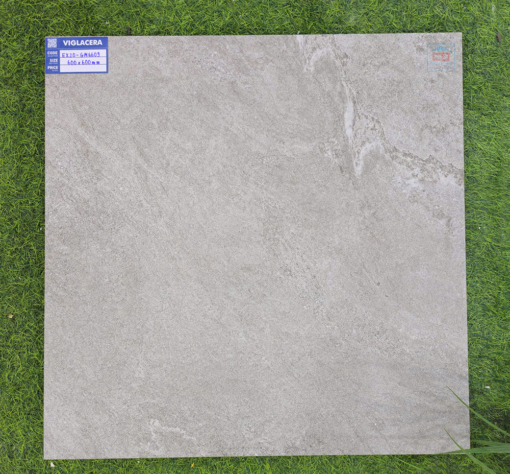 Gạch Viglacera EX20-GM6609