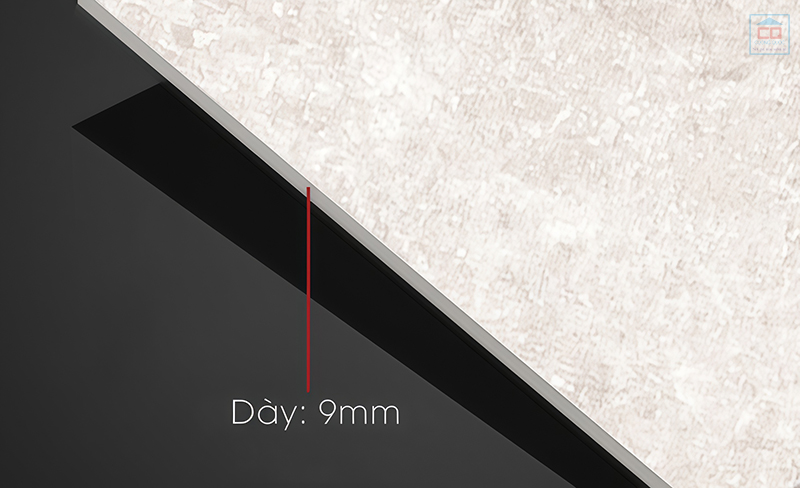 Gạch dày tiêu chuẩn