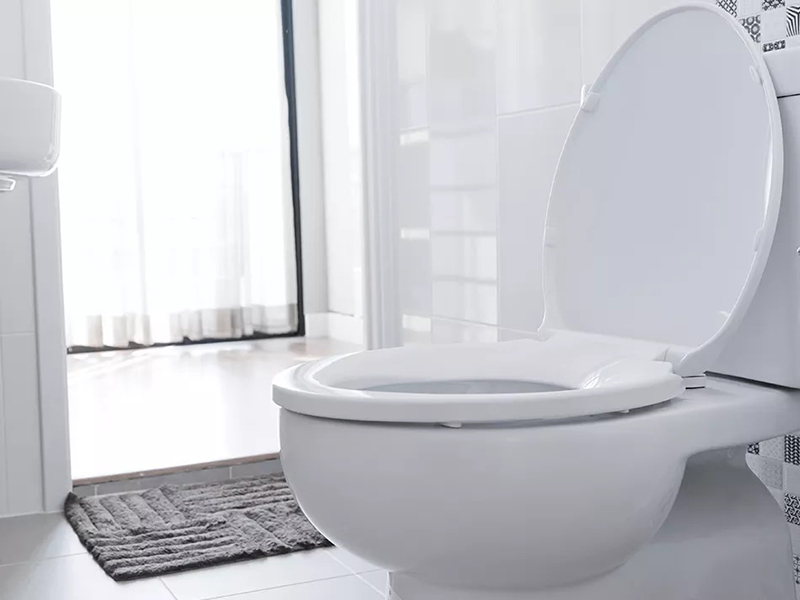 Nắp bồn cầu thường