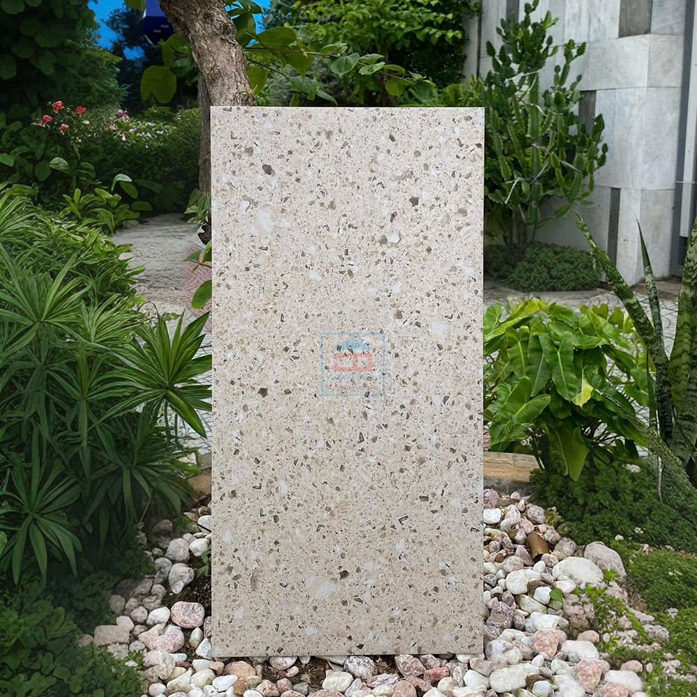Gạch ốp lát Terrazzo 36203