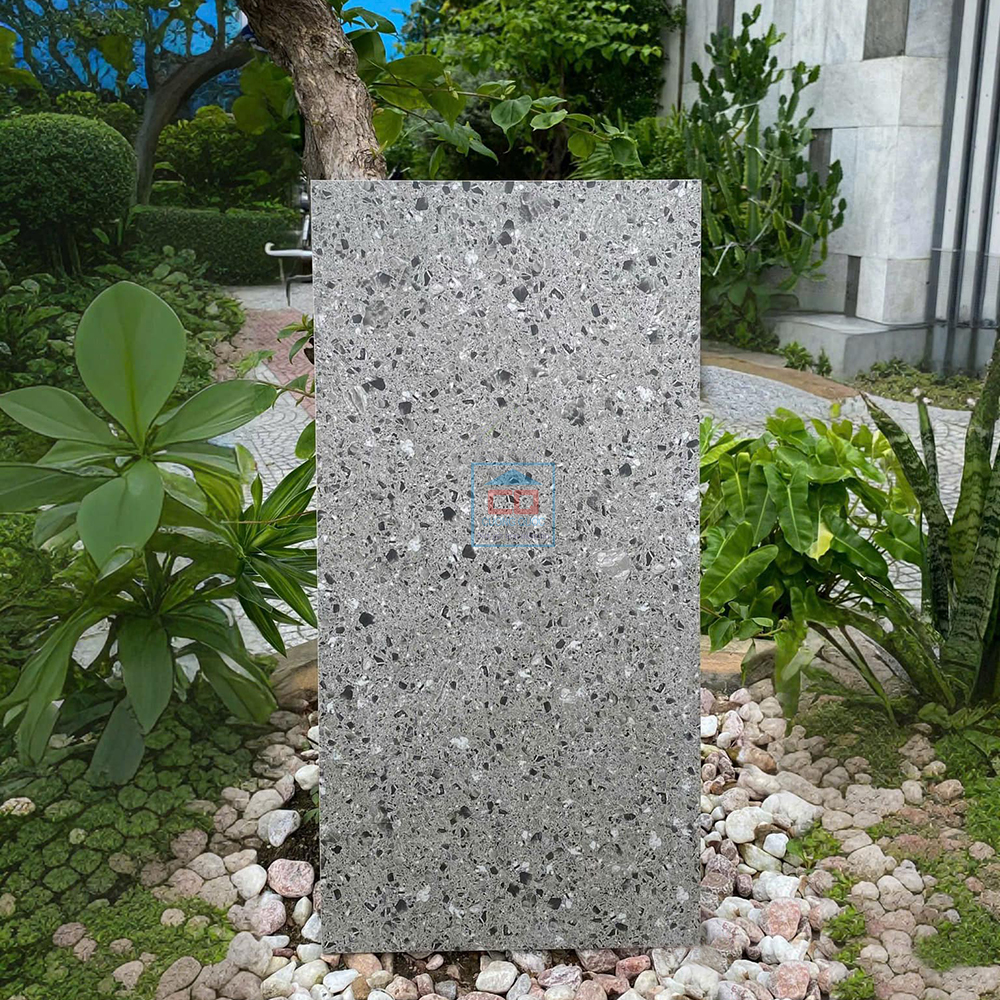 Gạch ốp lát Terrazzo 36204