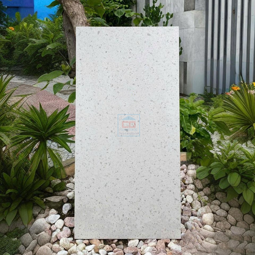 Gạch ốp tường 36200