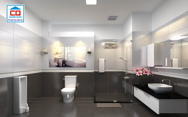 gạch ốp tường Viglacera 30x60_4