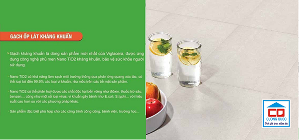 gạch Viglacera-2