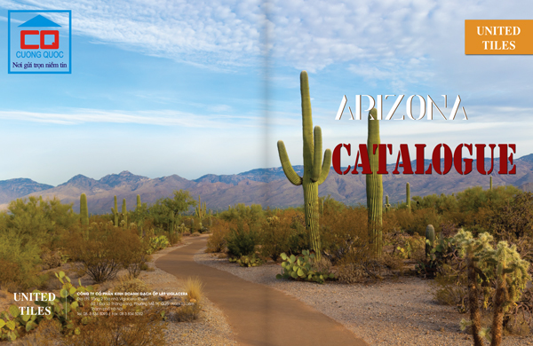 Catalogue gạch ốp lát Arizona có những gì?