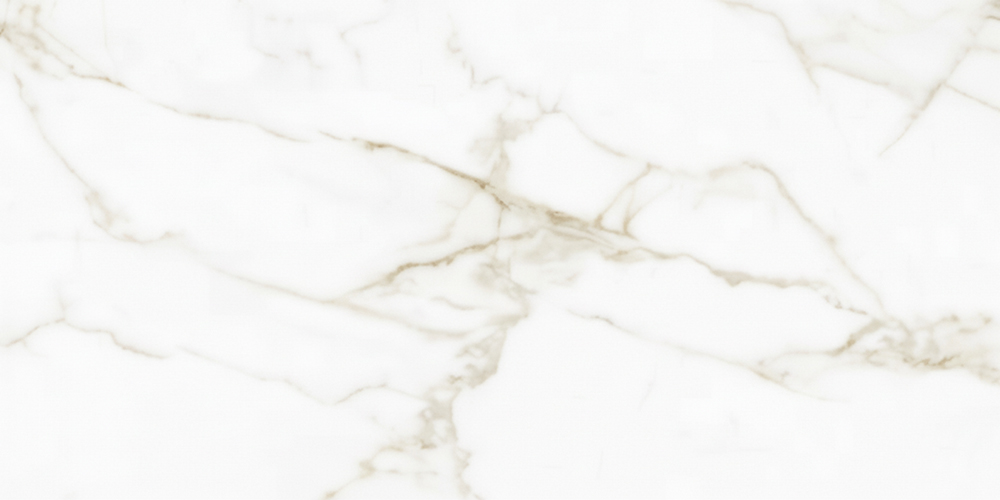 Gạch 60x120 Viglacera EX-T61202M