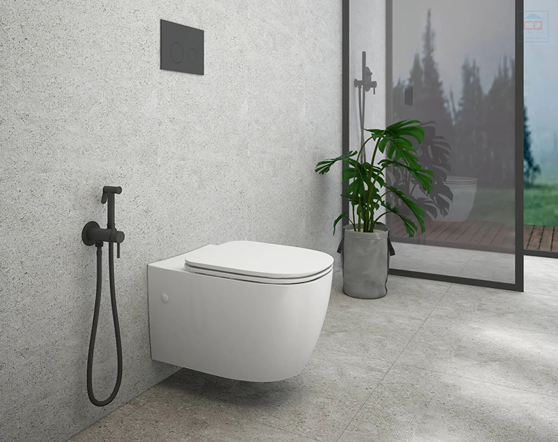 Bồn cầu treo tường Viglacera