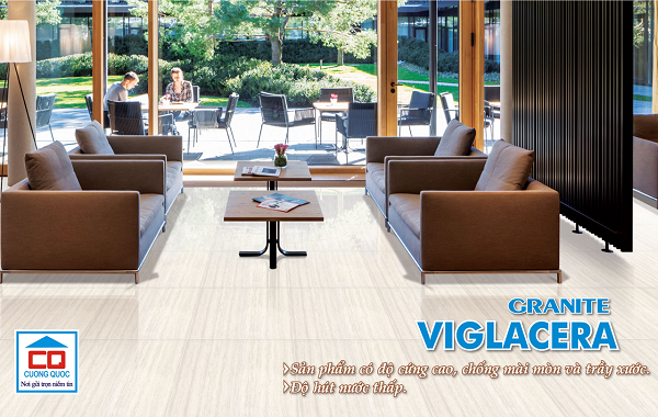 gạch vân gỗ Viglacera-9