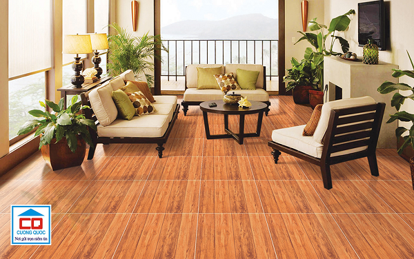 gạch vân gỗ Viglacera-4