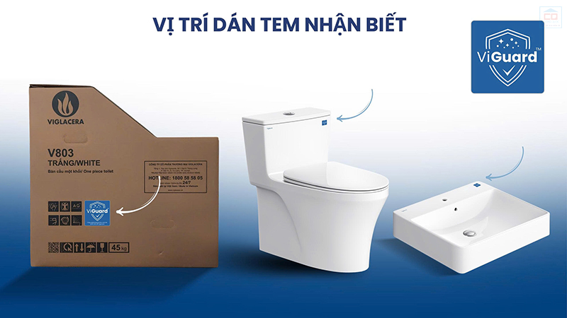 Vị trí dán tem công nghệ ViGuard