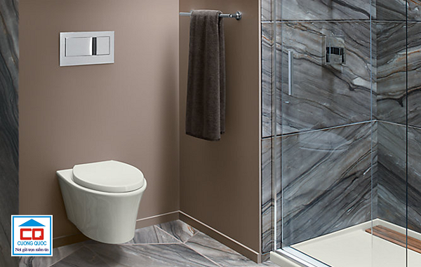 bồn cầu Viglacera &acirc;m tường_4