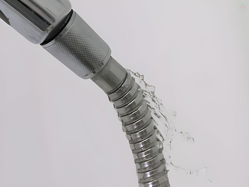 Sen vòi bị rò rỉ nước