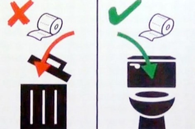 Có nên cho giấy vệ sinh vào bồn cầu luôn không?