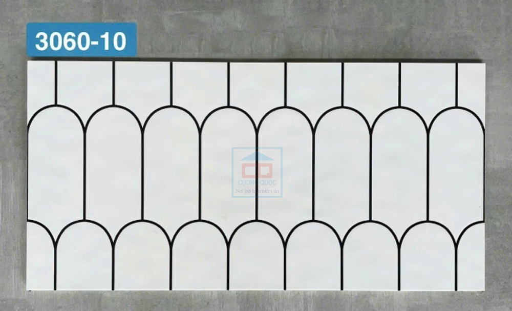 Gạch ốp tường DS3060-10 hình lông vũ