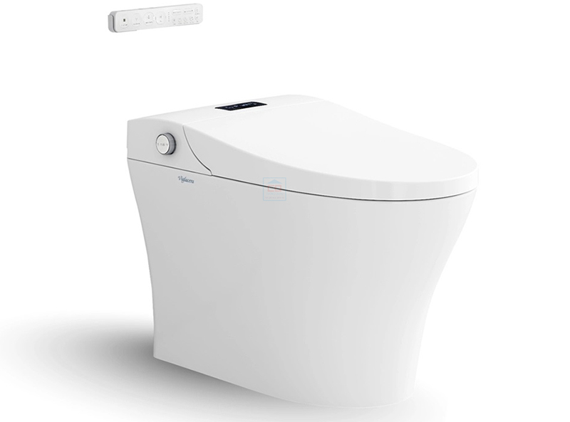 Bồn cầu Viglacera V885