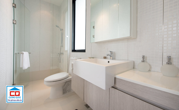 sen v&ograve;i Viglacera-3