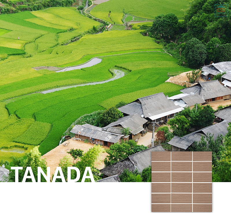 Bộ sưu tập Tanada