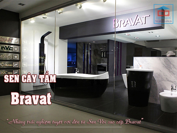 Sen cây tắm Bravat - Đắt nhưng khách hàng vẫn muốn mua!