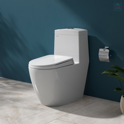 Bồn cầu két liền Viglacera V199 (BS199)