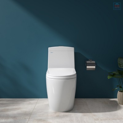 Bồn cầu két liền Viglacera V199 (BS199)