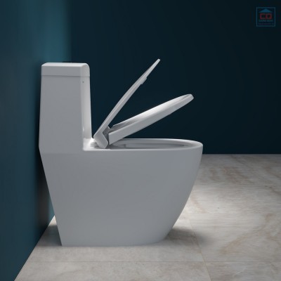 Bồn cầu két liền Viglacera V199 (BS199)