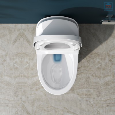 Bồn cầu thông minh Viglacera V91