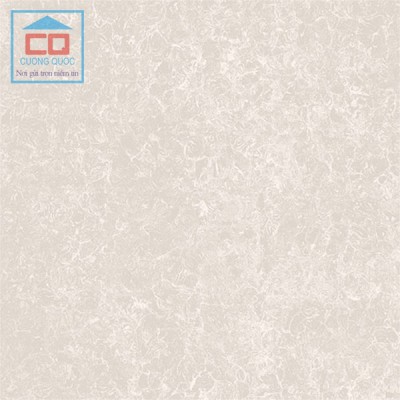 Gạch ốp lát Viglacera công nghệ Nano TS2-617