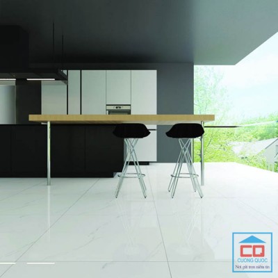 Gạch ốp lát Granite Viglacera Eco S801