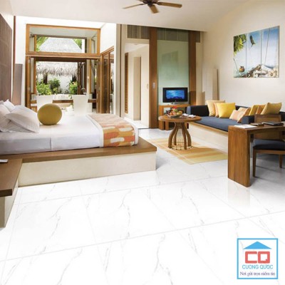 Gạch ốp lát Granite Viglacera Eco S801