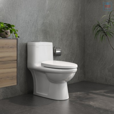 Bàn cầu két liền Viglacera V825 (BL5V)