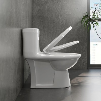 Bàn cầu két liền Viglacera V825 (BL5V)