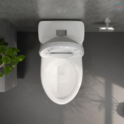 Bàn cầu két liền Viglacera V825 (BL5V)