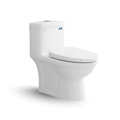 Bàn cầu két liền Viglacera V825 (BL5V)