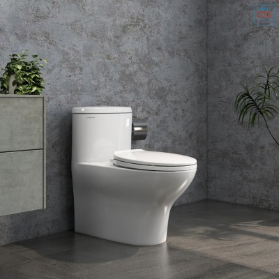 Bàn cầu 1 khối Viglacera V37M