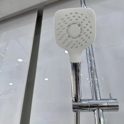 Sen tắm nóng lạnh TOTO TBS03302V/TBW02005A