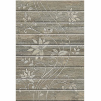 Gạch ốp tường Đồng Tâm 300x450 D3045WOOD003