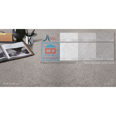 Gạch granite Eurotile Sa Thạch EU-SAT-H01