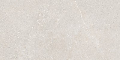 Gạch granite Eurotile Nguyệt Cát 450x900 EU-NGC-I02