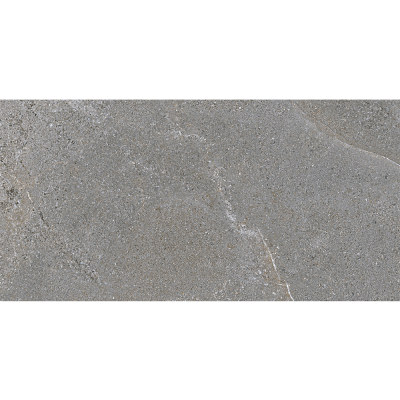 Gạch ốp lát Eurotile 450x900 EU-NGC-I03
