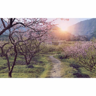 Gạch trang trí Prime 05.300600.09613