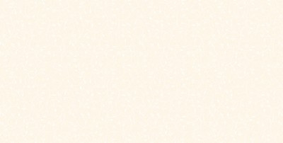 Gạch men 400x800 Prime 05.400800.0825961