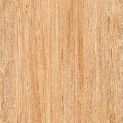 Gạch lát nền Prime 03.600600.09854