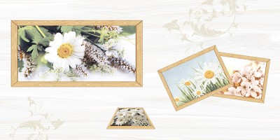 Gạch men 300x600 Toko XD AHTD 605