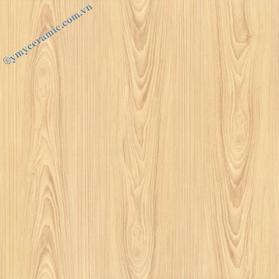 Gạch men in kỹ thuật số Ý Mỹ S605