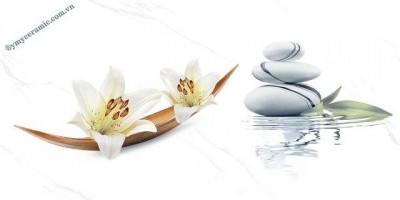 Gạch men ốp tường Ý Mỹ S36023SD