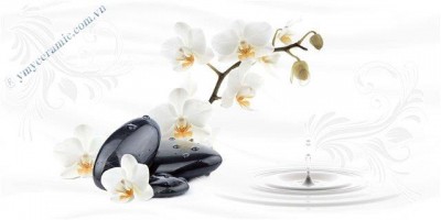 Gạch men ốp tường 30x60 Ý Mỹ Y36025D